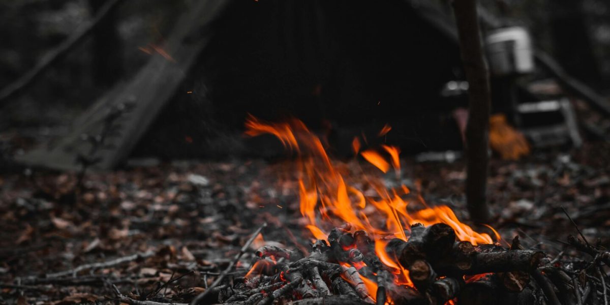 A campfire burns brightly at a forest campsite in Bolu, Turkey.